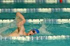 Swimming vs Bentley  Wheaton College Swimming & Diving vs Bentley College. - Photo by Keith Nordstrom : Wheaton, Swimming & Diving